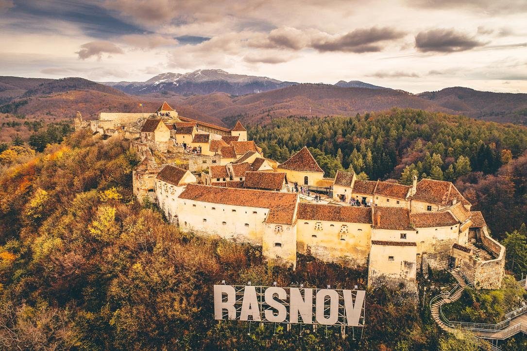 Ronenia: Origins, Uses, and Cultural Significance Explored